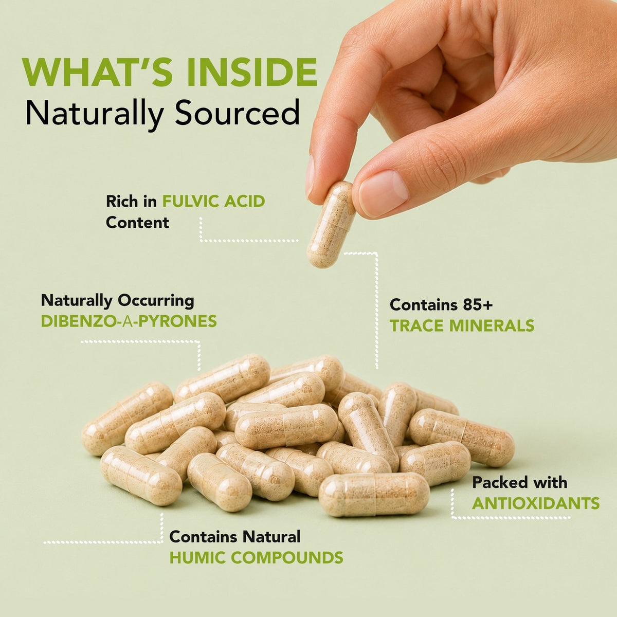 Alpine Organic Himalayan Shilajit Capsules – image 4