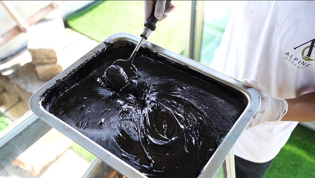 Purified Himalayan Shilajit resin in a stainless steel tray