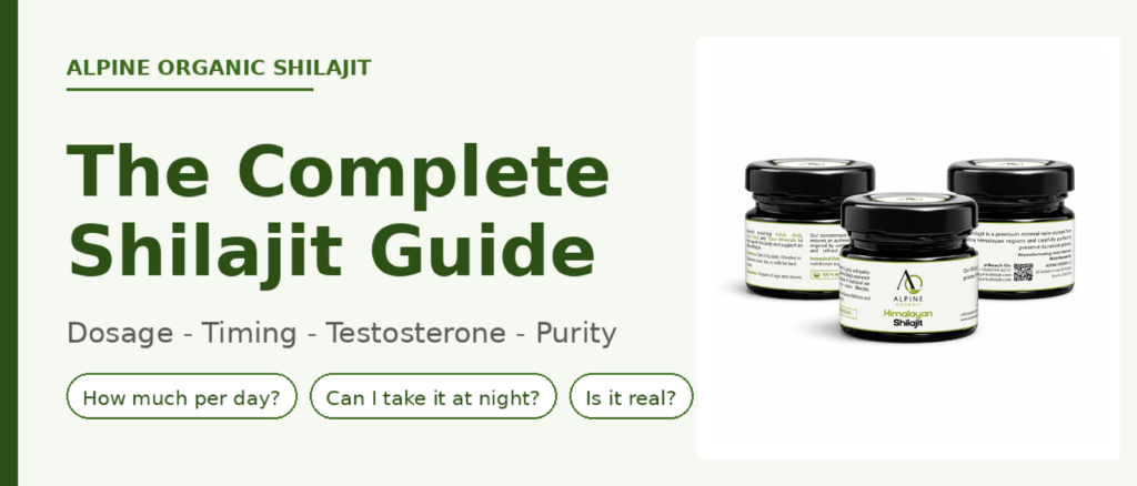 shilajit guide